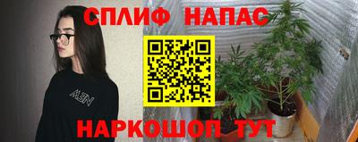 не бодяженный Тара