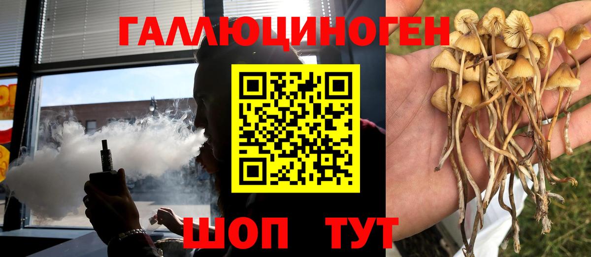 Нижнеудинск  Псилоцибиновые грибы GOLDEN TEACHER  Вход с VPN 
